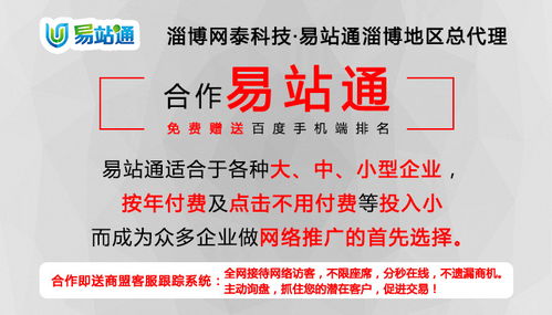 臨淄網(wǎng)絡(luò)推廣服務(wù)專(zhuān)家 淄博網(wǎng)泰科技引領(lǐng)企業(yè)數(shù)字化轉(zhuǎn)型